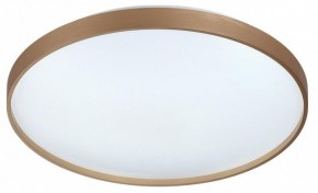 Накладной светильник Sonex Gaby 7783/EL в Коротчаево - korotchaevo.ok-mebel.com | фото 4