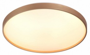 Накладной светильник Sonex Gaby 7783/EL в Коротчаево - korotchaevo.ok-mebel.com | фото 5