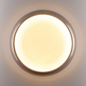 Накладной светильник Sonex PORTMAN 7777/DLN в Коротчаево - korotchaevo.ok-mebel.com | фото 6