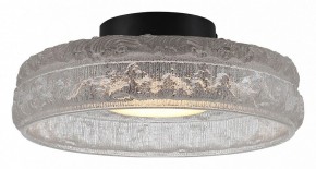 Накладной светильник ST-Luce ANTIKE SL6143.402.01 в Коротчаево - korotchaevo.ok-mebel.com | фото 2