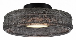 Накладной светильник ST-Luce ANTIKE SL6143.412.01 в Коротчаево - korotchaevo.ok-mebel.com | фото 2