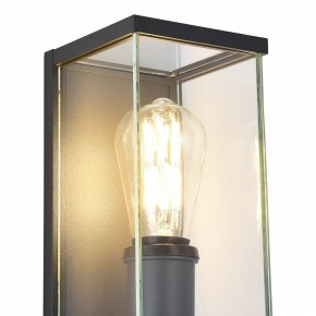 Накладной светильник ST-Luce Gross SL9019.701.01 в Коротчаево - korotchaevo.ok-mebel.com | фото 4