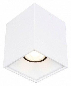 Накладной светильник ST-Luce ST168 ST168.502.01 в Коротчаево - korotchaevo.ok-mebel.com | фото