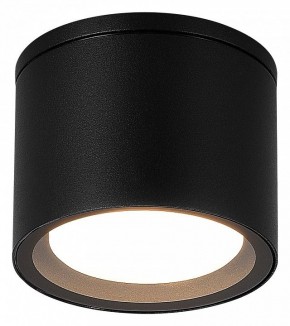 Накладной светильник ST-Luce Tubo SL9006.402.01 в Коротчаево - korotchaevo.ok-mebel.com | фото 2