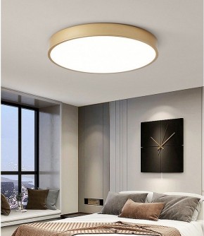 Накладной светильник TopDecor Union Union P2 33 в Коротчаево - korotchaevo.ok-mebel.com | фото 3