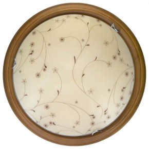 Накладной светильник TopLight Karissa TL9650Y-00OA в Коротчаево - korotchaevo.ok-mebel.com | фото