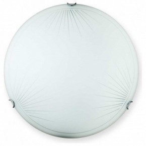 Накладной светильник TopLight Wifa TL9142Y-00WH в Коротчаево - korotchaevo.ok-mebel.com | фото