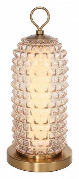 Настольная лампа декоративная ST-Luce SAGUARO SL6144.304.01 в Коротчаево - korotchaevo.ok-mebel.com | фото 2