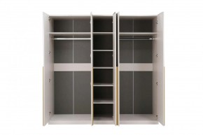 НИКОЛЬ 25 Шкаф 5-ти створчатый в Коротчаево - korotchaevo.ok-mebel.com | фото 3