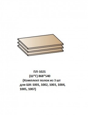 ПЛ-1021 (Комплект полок из 3 шт для ШК-1001, 1002, 1003, 1004, 1005, 1007) в Коротчаево - korotchaevo.ok-mebel.com | фото