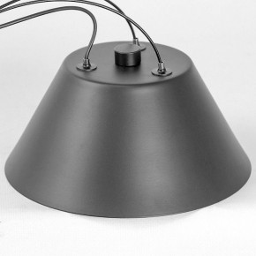 Подвесная люстра Lussole Hopkins LSP-7408 в Коротчаево - korotchaevo.ok-mebel.com | фото 7