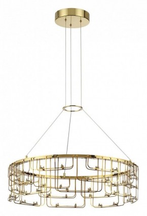 Подвесная люстра Odeon Light ZAHA 7060/44L в Коротчаево - korotchaevo.ok-mebel.com | фото 2