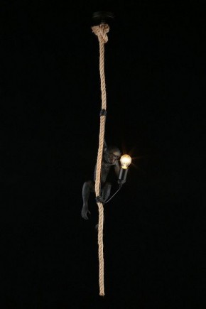 Подвесной светильник Aployt Magali APL.309.16.01 в Коротчаево - korotchaevo.ok-mebel.com | фото 3