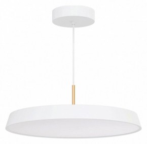 Подвесной светильник Arlight ELEGANT 033924(1) в Коротчаево - korotchaevo.ok-mebel.com | фото 2