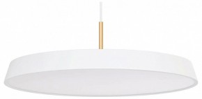 Подвесной светильник Arlight ELEGANT 033925(1) в Коротчаево - korotchaevo.ok-mebel.com | фото