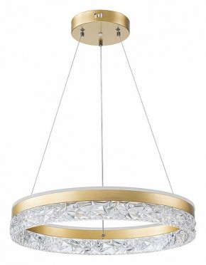 Подвесной светильник Arte Lamp Apollo A2549SP-75GO в Коротчаево - korotchaevo.ok-mebel.com | фото 2