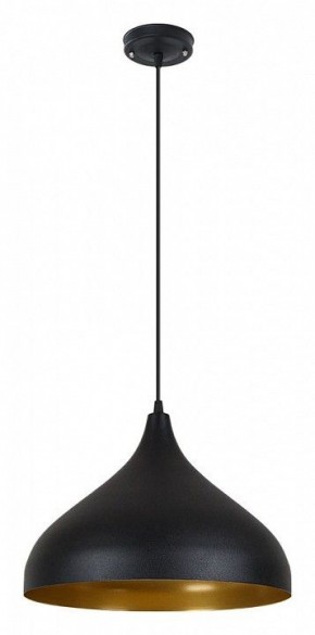 Подвесной светильник Arte Lamp Carmel A7076SP-1BK в Коротчаево - korotchaevo.ok-mebel.com | фото 2