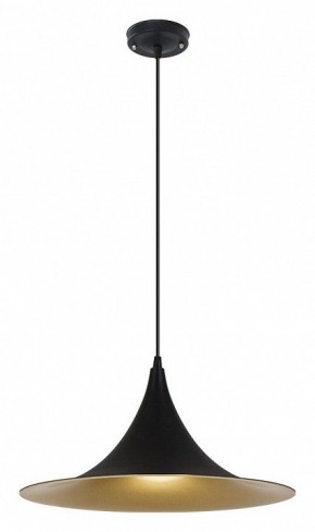 Подвесной светильник Arte Lamp Carmel A7080SP-1BK в Коротчаево - korotchaevo.ok-mebel.com | фото 2