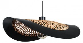 Подвесной светильник Arte Lamp Woodstock A7059SP-1BK в Коротчаево - korotchaevo.ok-mebel.com | фото