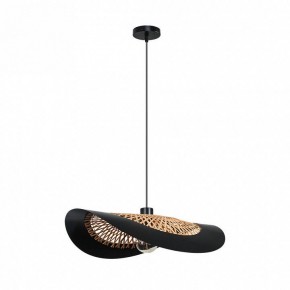 Подвесной светильник Arte Lamp Woodstock A7059SP-1BK в Коротчаево - korotchaevo.ok-mebel.com | фото 2