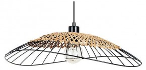 Подвесной светильник Arte Lamp Woodstock A7061SP-1BK в Коротчаево - korotchaevo.ok-mebel.com | фото
