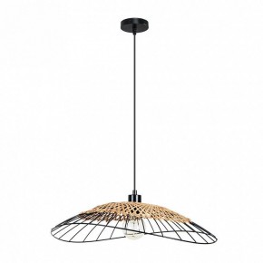 Подвесной светильник Arte Lamp Woodstock A7061SP-1BK в Коротчаево - korotchaevo.ok-mebel.com | фото 2
