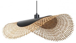 Подвесной светильник Arte Lamp Woodstock A7063SP-1BK в Коротчаево - korotchaevo.ok-mebel.com | фото