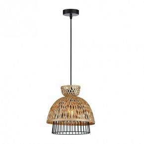 Подвесной светильник Arte Lamp Woodstock A7070SP-1BK в Коротчаево - korotchaevo.ok-mebel.com | фото