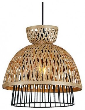 Подвесной светильник Arte Lamp Woodstock A7070SP-1BK в Коротчаево - korotchaevo.ok-mebel.com | фото 2