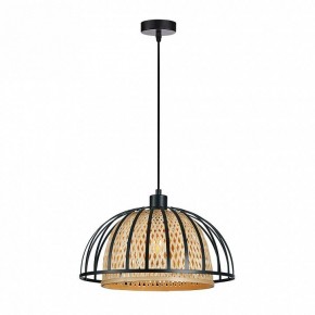 Подвесной светильник Arte Lamp Woodstock A7071SP-1BK в Коротчаево - korotchaevo.ok-mebel.com | фото