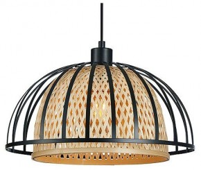 Подвесной светильник Arte Lamp Woodstock A7071SP-1BK в Коротчаево - korotchaevo.ok-mebel.com | фото 2