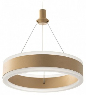 Подвесной светильник Citilux Дуэт CL719012 в Коротчаево - korotchaevo.ok-mebel.com | фото 4