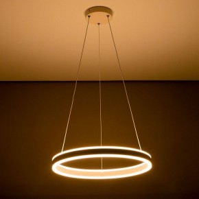 Подвесной светильник Citilux Дуэт CL719500 в Коротчаево - korotchaevo.ok-mebel.com | фото 11