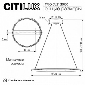 Подвесной светильник Citilux Trio CL215B050 в Коротчаево - korotchaevo.ok-mebel.com | фото 9