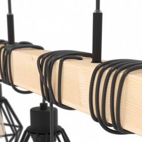 Подвесной светильник Eglo ПРОМО TOWNSHEND 5 44076 в Коротчаево - korotchaevo.ok-mebel.com | фото 4