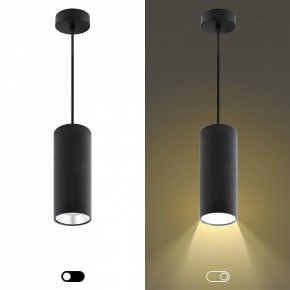 Подвесной светильник Эра  PL12 GX53 BK/SL в Коротчаево - korotchaevo.ok-mebel.com | фото 5
