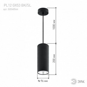 Подвесной светильник Эра  PL12 GX53 BK/SL в Коротчаево - korotchaevo.ok-mebel.com | фото 8