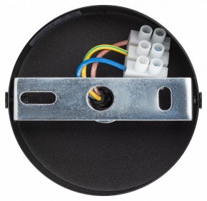 Подвесной светильник Эра  PL12 GX53 BK/SL в Коротчаево - korotchaevo.ok-mebel.com | фото 9