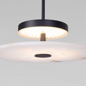 Подвесной светильник Eurosvet Thasos 40342 LED черный в Коротчаево - korotchaevo.ok-mebel.com | фото 7