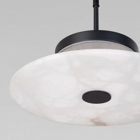 Подвесной светильник Eurosvet Thasos 40342 LED черный в Коротчаево - korotchaevo.ok-mebel.com | фото 8