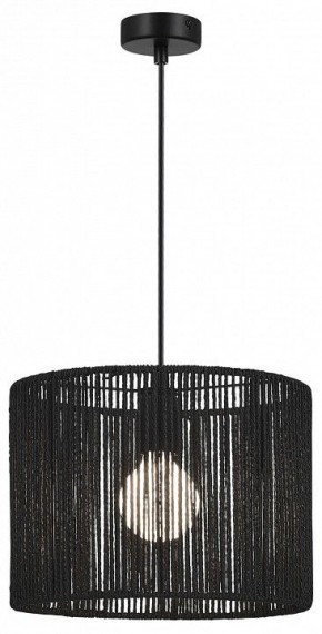 Подвесной светильник EVOLUCE ETTAN SLE6024-403-01 в Коротчаево - korotchaevo.ok-mebel.com | фото 2