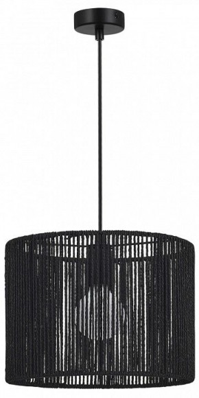 Подвесной светильник EVOLUCE ETTAN SLE6024-403-01 в Коротчаево - korotchaevo.ok-mebel.com | фото 4