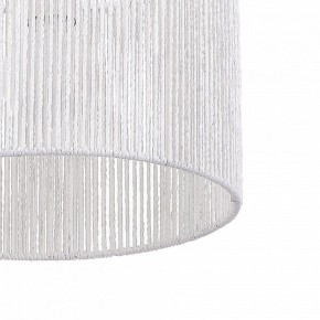 Подвесной светильник EVOLUCE ETTAN SLE6024-503-01 в Коротчаево - korotchaevo.ok-mebel.com | фото 8