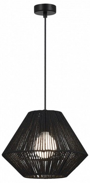 Подвесной светильник EVOLUCE ETTAN SLE6025-403-01 в Коротчаево - korotchaevo.ok-mebel.com | фото 2