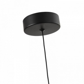 Подвесной светильник Favourite Cattivo 4452-1P в Коротчаево - korotchaevo.ok-mebel.com | фото 7