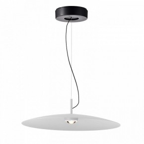 Подвесной светильник Favourite Lars 4410-2P в Коротчаево - korotchaevo.ok-mebel.com | фото 2