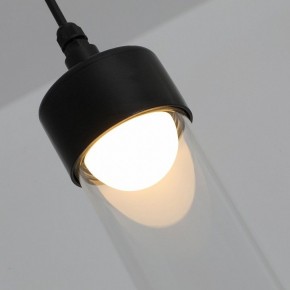 Подвесной светильник Favourite Outdoor 4702-1P в Коротчаево - korotchaevo.ok-mebel.com | фото 7