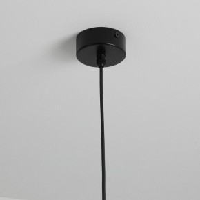 Подвесной светильник Favourite Outdoor 4702-1P в Коротчаево - korotchaevo.ok-mebel.com | фото 9