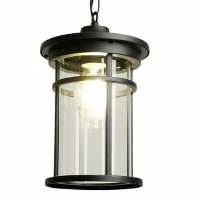 Подвесной светильник Feron PL765 51819 в Коротчаево - korotchaevo.ok-mebel.com | фото 3
