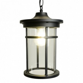 Подвесной светильник Feron PL765 51819 в Коротчаево - korotchaevo.ok-mebel.com | фото 4
